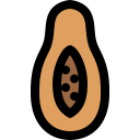 fruta icon