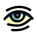 ojo icon