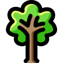 naturaleza icon