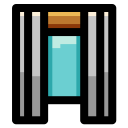 Window icon