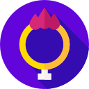 anillo de fuego icon