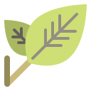 naturaleza icon