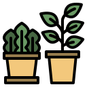 planta icon