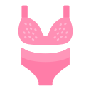 bikini icon