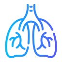 pulmones