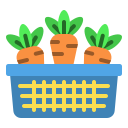 fruta icon