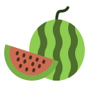 fruta icon