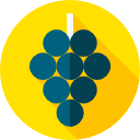 uvas icon