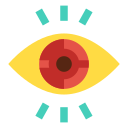 ojo icon