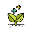 naturaleza icon