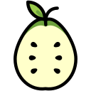 fruta icon