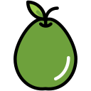 fruta icon