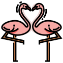 pareja icon