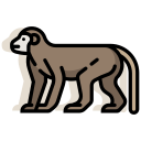 animal icon