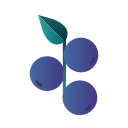 Berry 