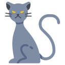 animal 