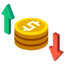 financiero icon