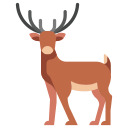 animal icon