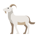 animal icon