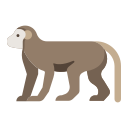 animal icon