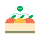 fruta icon