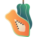 fruta icon