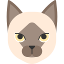 animal icon