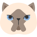 animal icon