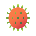 fruta icon