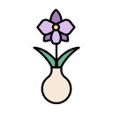 falenopsis icon