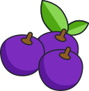 fruta icon