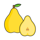 fruta icon