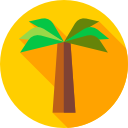 coco icon