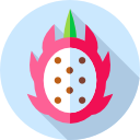 dragon de fruta icon