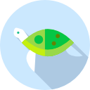 tortuga icon