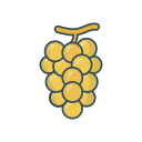 fruta icon