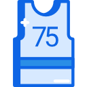 maillot de basket 