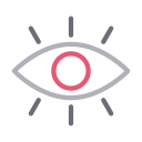 ojo icon