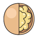 fruta icon