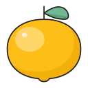 fruta icon