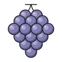 fruta icon