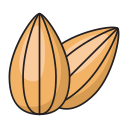 fruta icon