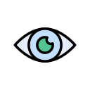 Eye 