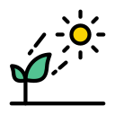 여름 