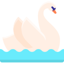 cisne 