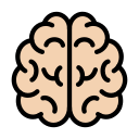 Head 