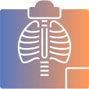 radiología