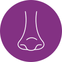 rhinologie icon