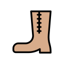 bota icon