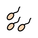 Reproductive 